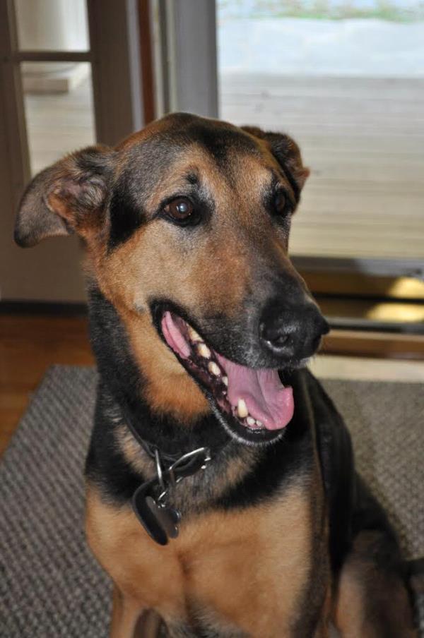 /Images/uploads/Humane Rescue Alliance/HRACalendarPhotoContest/entries/8961thumb.jpg